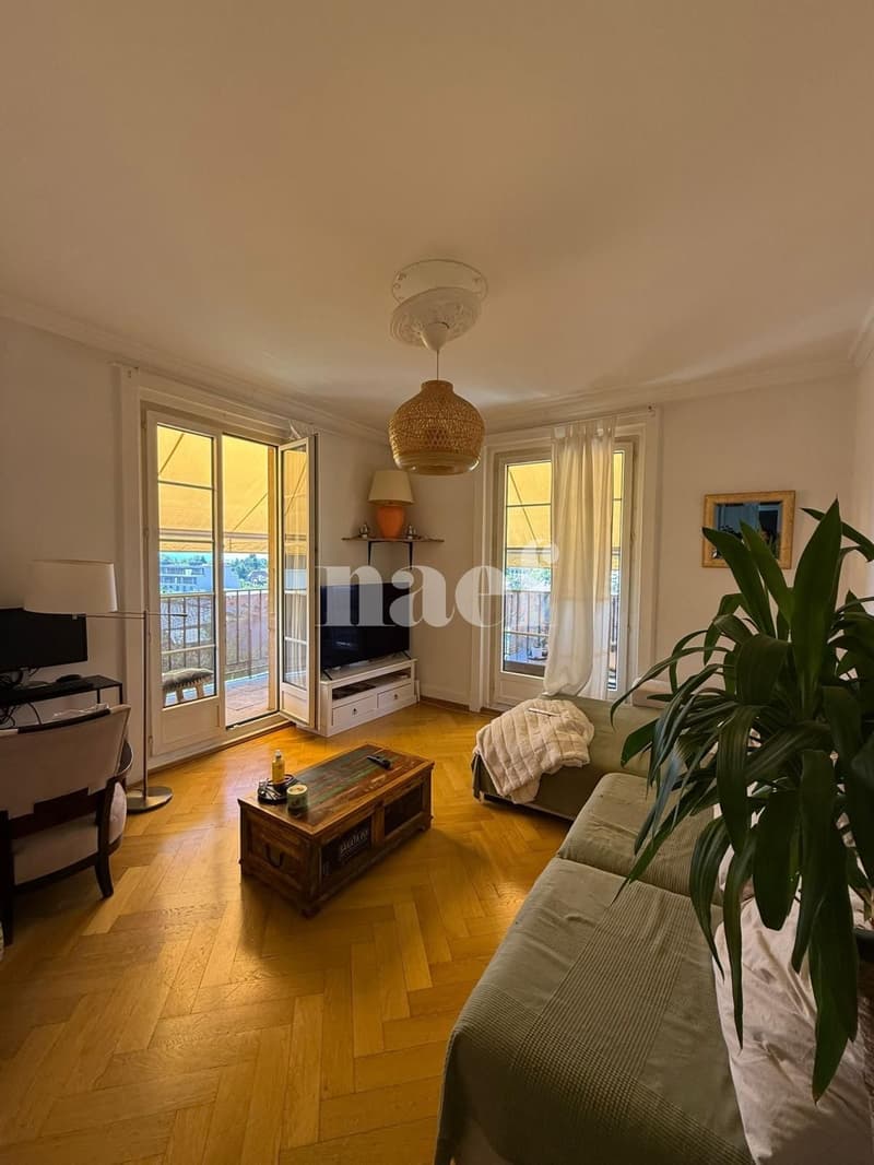 Charmant appartement de 3.5 pièces au 3ème étage (1)
