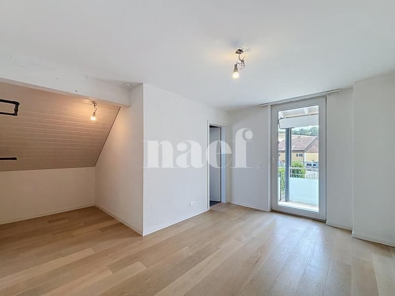 Bel appartement en duplex (6)