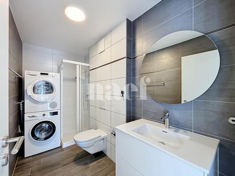 Bel appartement en duplex (9)