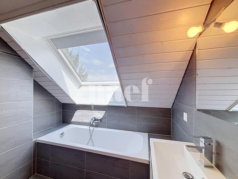Bel appartement en duplex (7)
