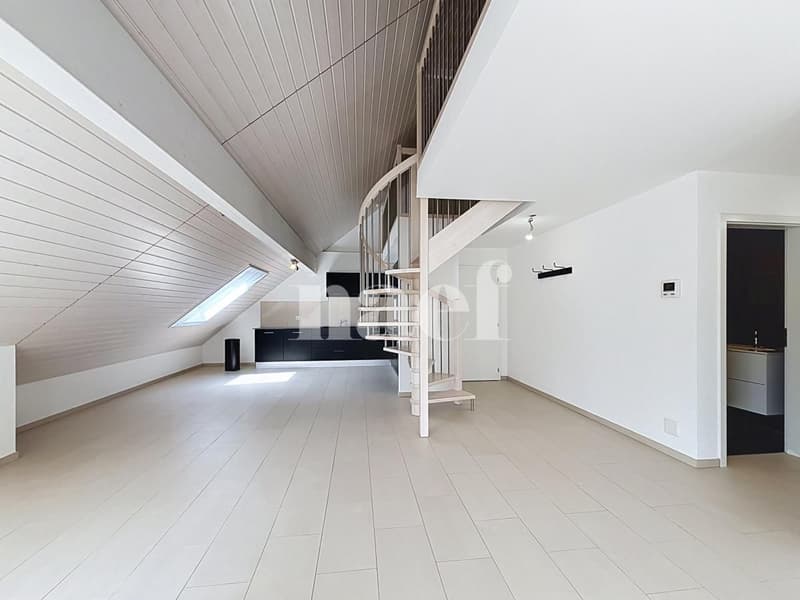 Bel appartement en duplex (4)