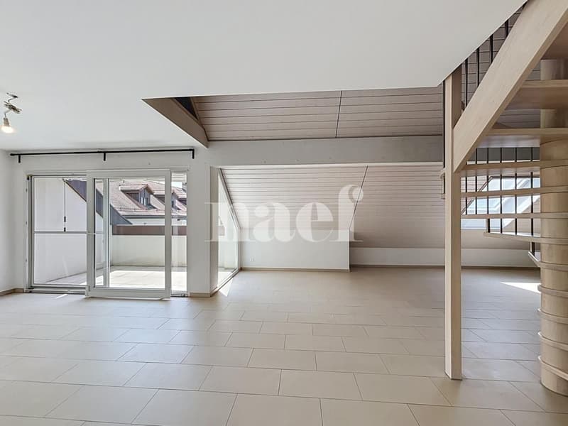 Bel appartement en duplex (3)