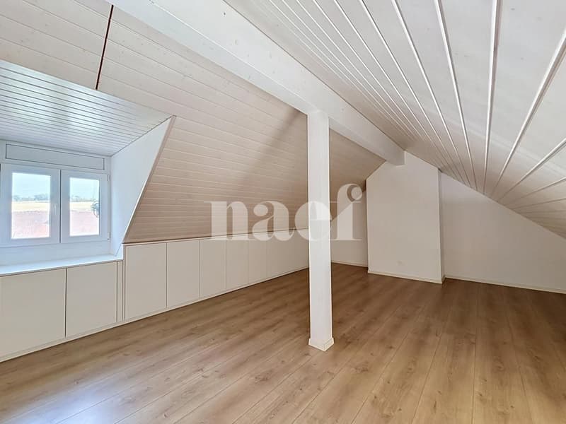 Bel appartement en duplex (11)
