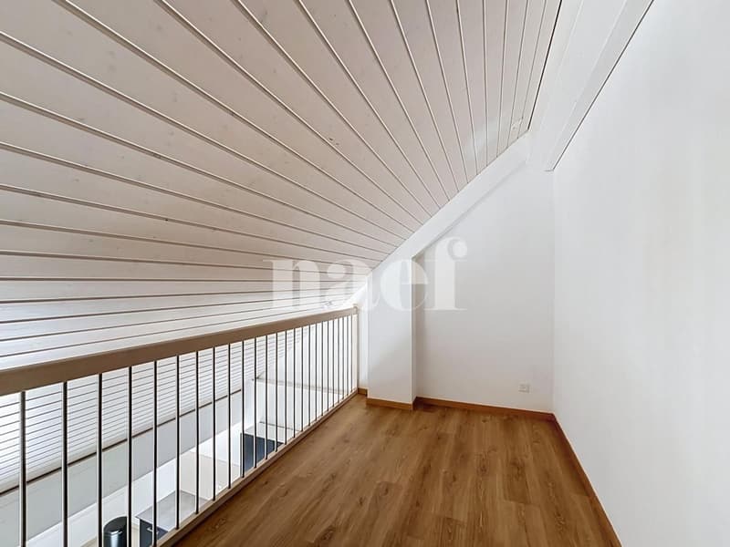 Bel appartement en duplex (10)