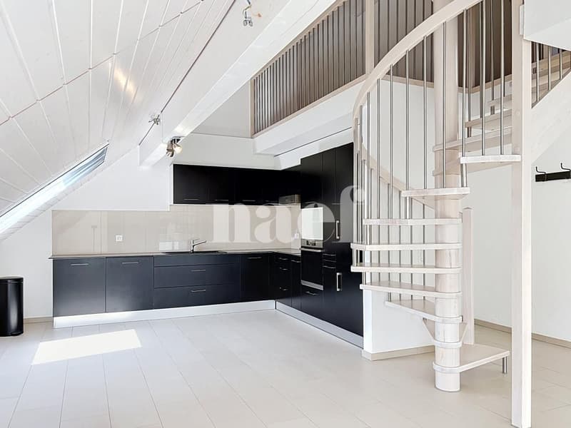 Bel appartement en duplex (2)