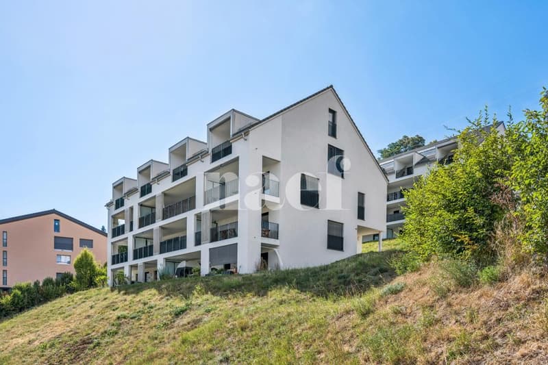 Magnifique duplex (1)