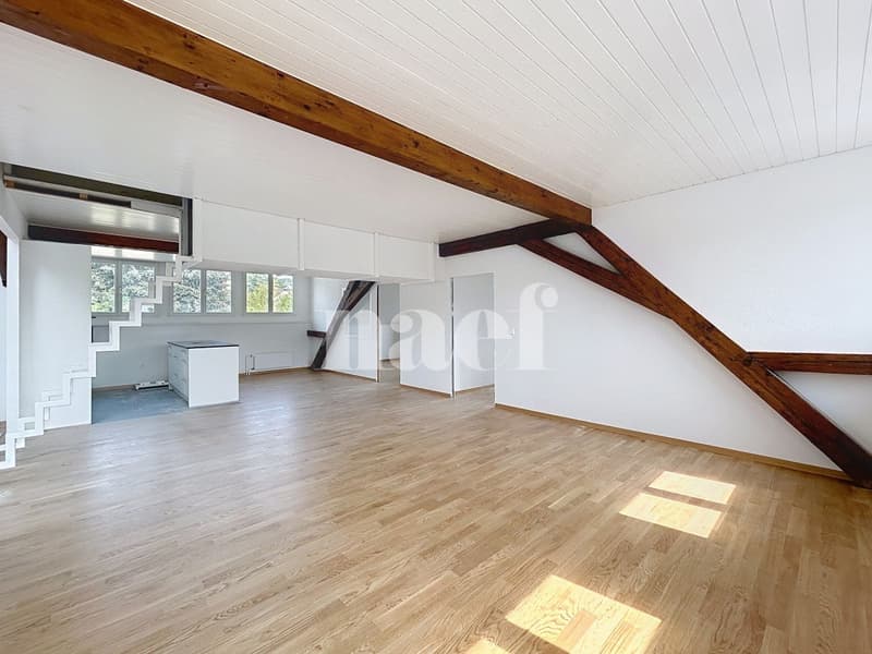 Appartement de 4 pièces dans les combles (4)