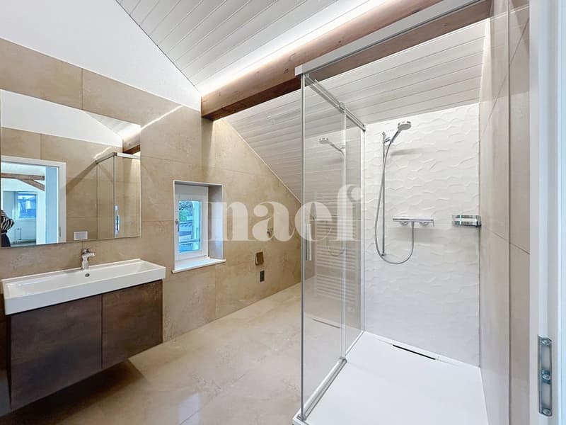 Appartement de 4 pièces dans les combles (2)