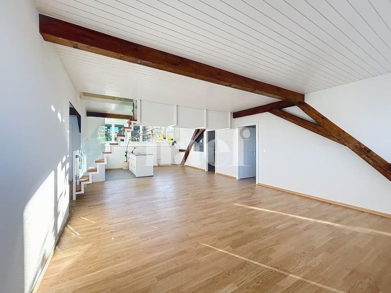 Appartement de 4 pièces dans les combles (6)