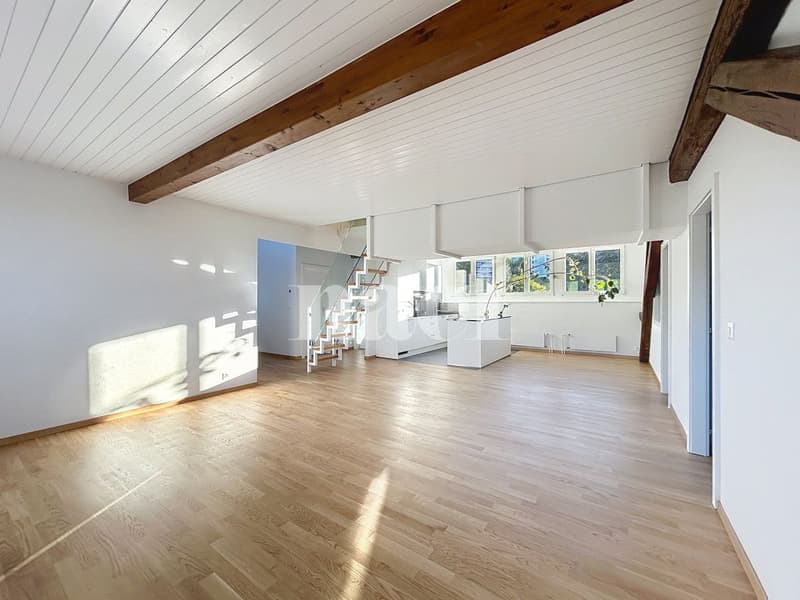 Appartement de 4 pièces dans les combles (7)