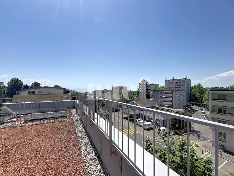 Appartement NEUF de 3.5 pièces (5)
