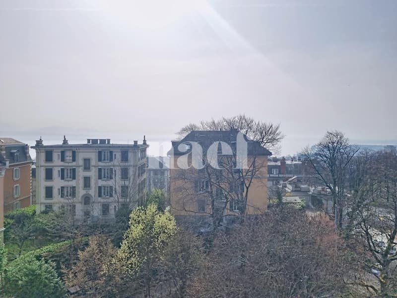 Appartement charmant de 2.5 pces aux combles (11)