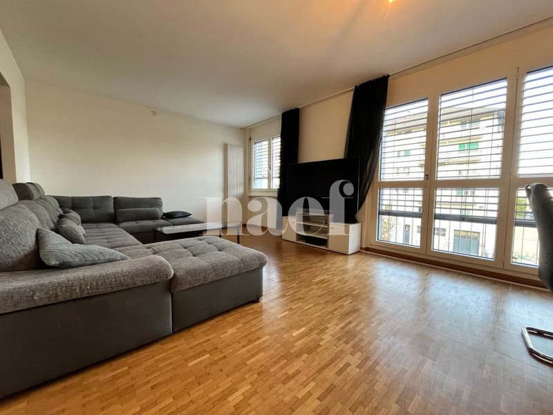 Logement spacieux et lumineux (2)