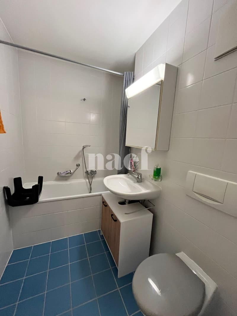 Logement spacieux et lumineux (6)