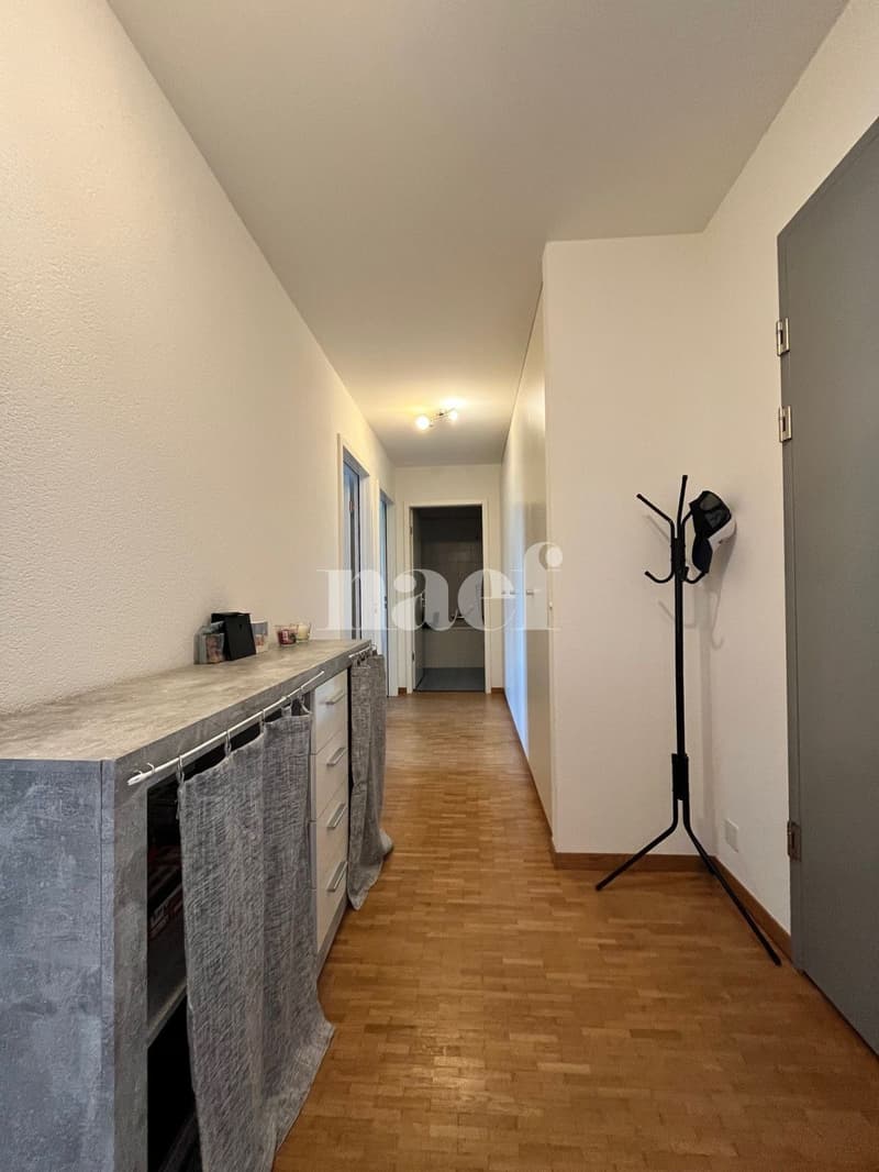 Logement spacieux et lumineux (7)