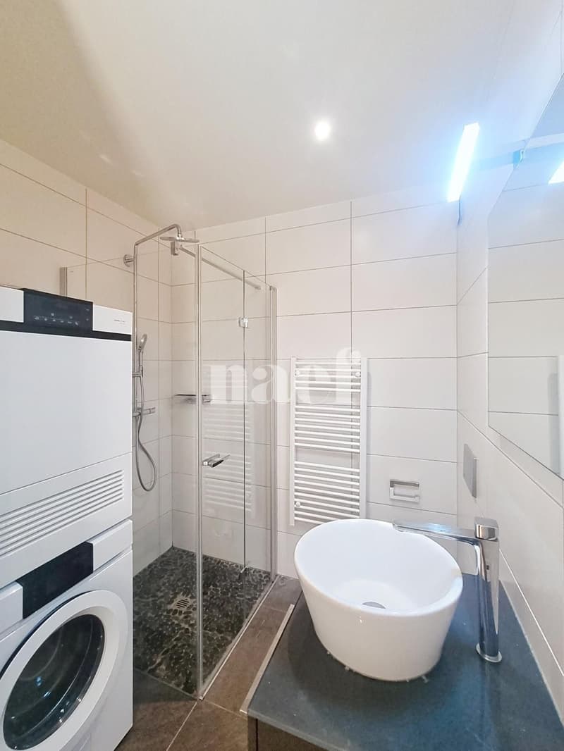 Appartement lumineux de 4.5 pces avec terrasse (6)