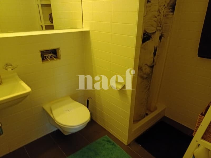 Appartement de 4,5 pièces au rez-supérieur (8)