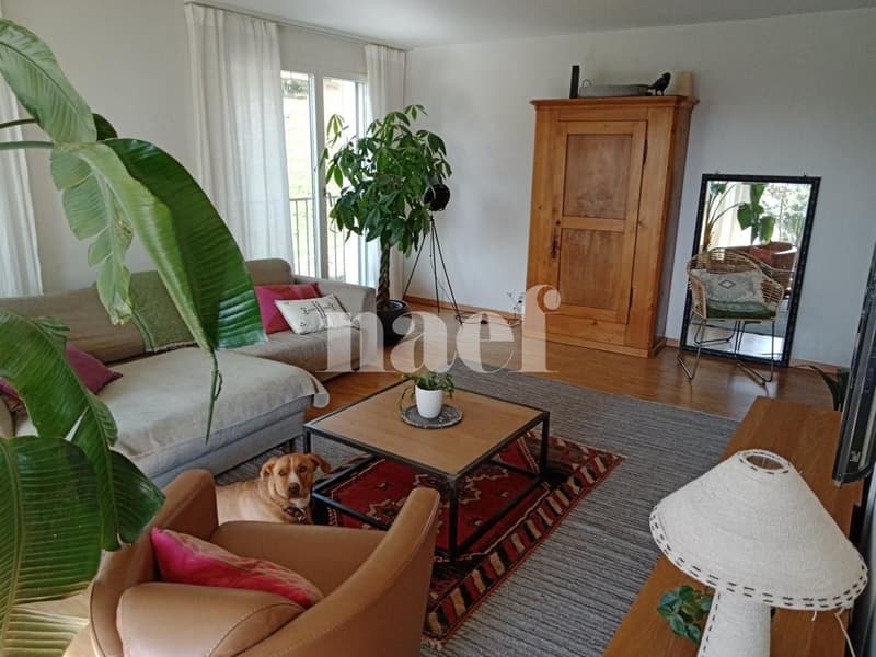 Appartement de 4,5 pièces au rez-supérieur (3)