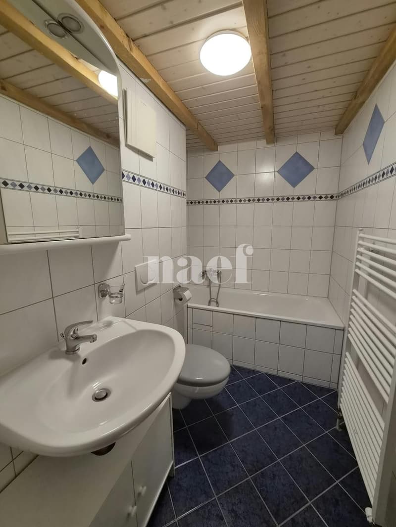 Appartement 2.5 pièces au 5ème étage (6)
