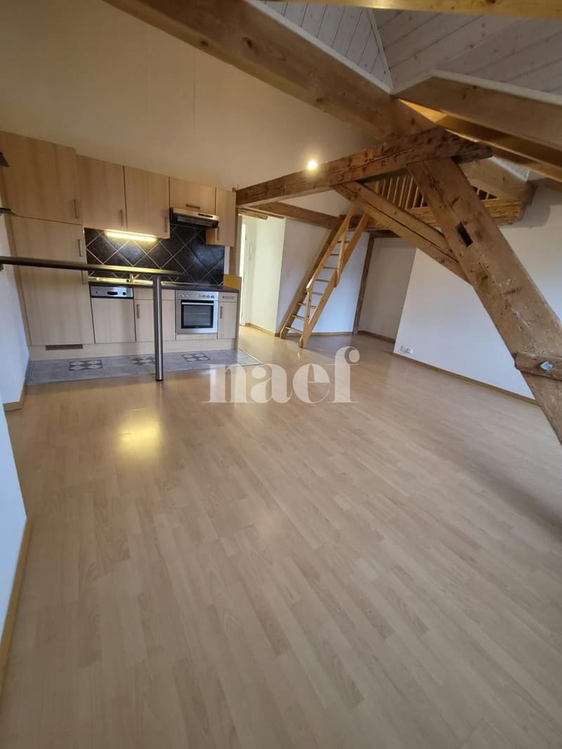Appartement 2.5 pièces au 5ème étage (1)