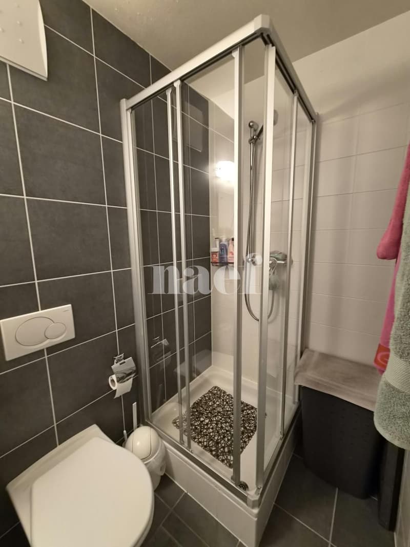Appartement (4)