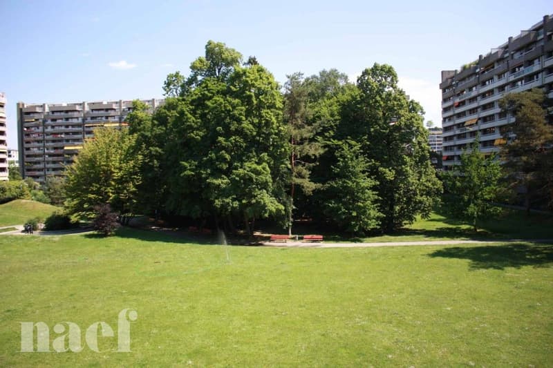 Un beau et spacieux logement proche des Nations-Unies (1)