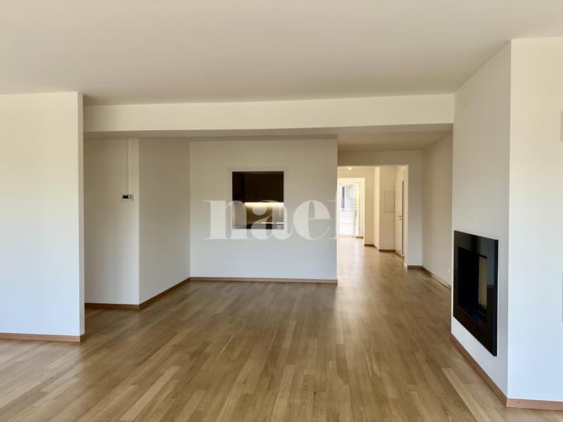 Lumineux et spacieux appartement de 6 pièces avec grande terrasse (3)