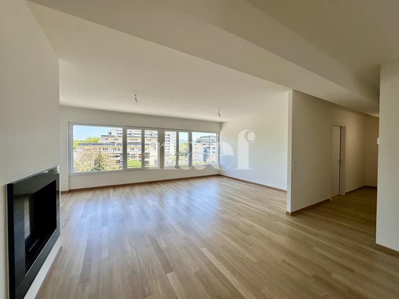 Lumineux et spacieux appartement de 6 pièces avec grande terrasse (4)