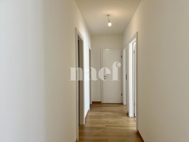 Lumineux et spacieux appartement de 6 pièces avec grande terrasse (10)
