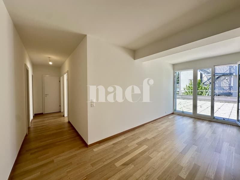 Lumineux et spacieux appartement de 6 pièces avec grande terrasse (2)