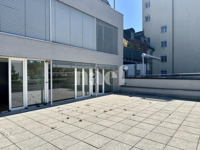 Lumineux et spacieux appartement de 6 pièces avec grande terrasse (13)