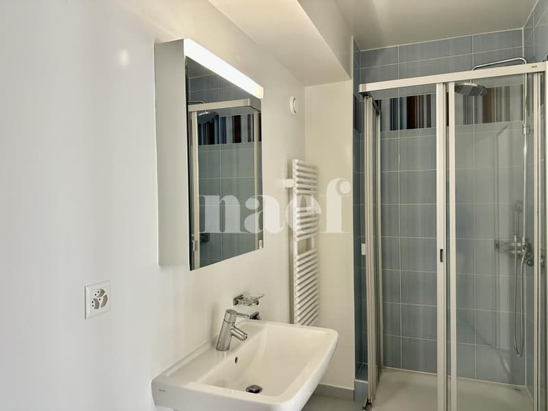 Lumineux et spacieux appartement de 6 pièces avec grande terrasse (12)
