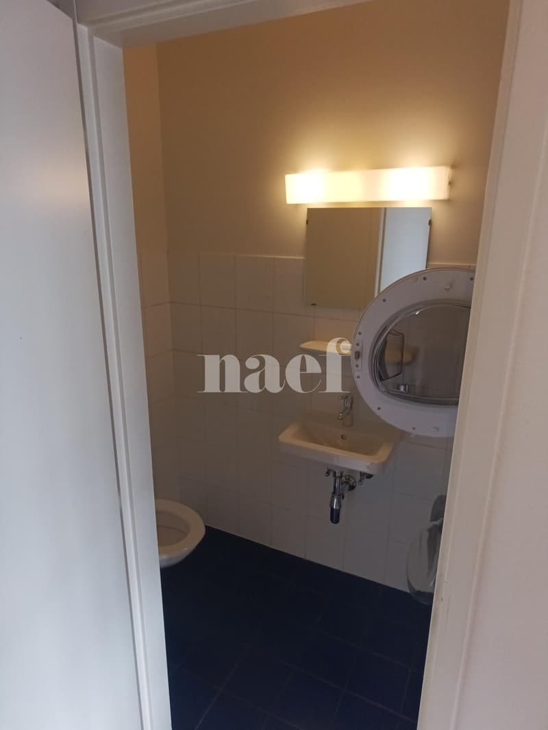 Appartement de 3 pièces (4)