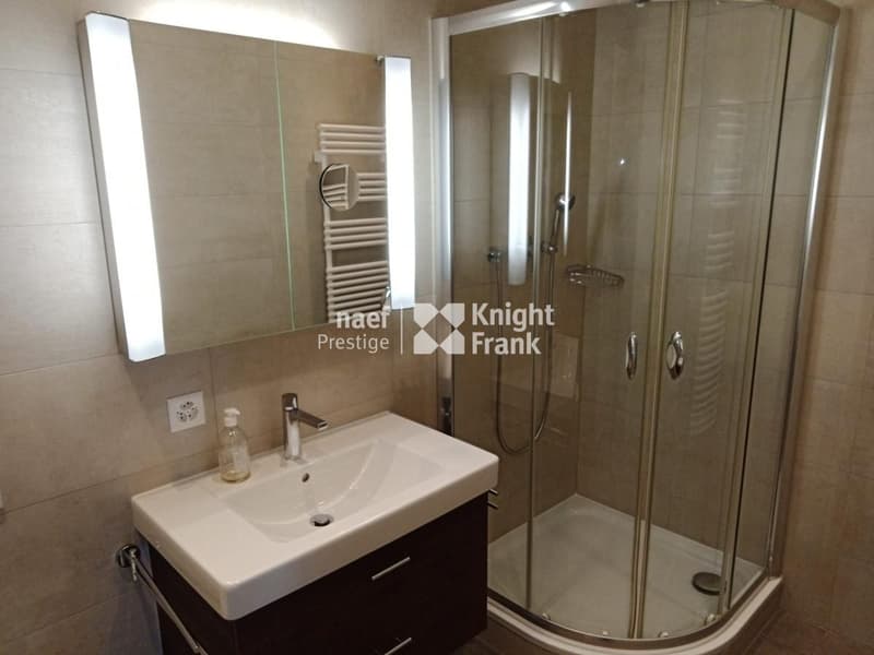 Appartement de standing en face du lac (9)