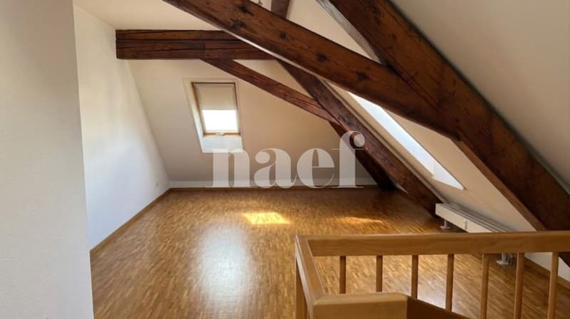 Charmant appartement de 3 pièces près de la gare de Genève (4)
