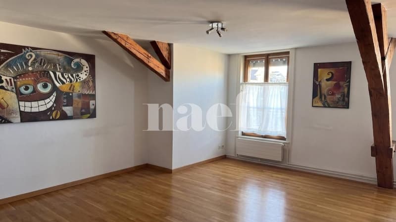 Charmant appartement de 3 pièces près de la gare de Genève (2)