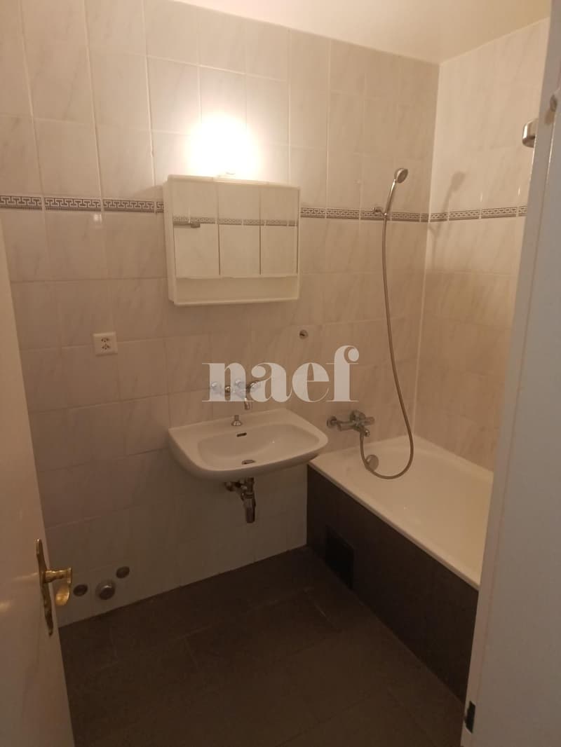 Appartement de 5 pièces au Grand-Saconnex avec terrasse au rez-inférieur (7)