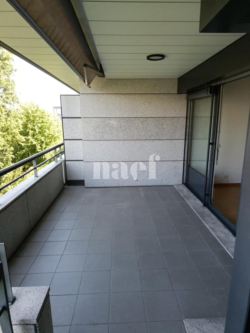 Bel appartement dans le quartier de Malagnou (10)