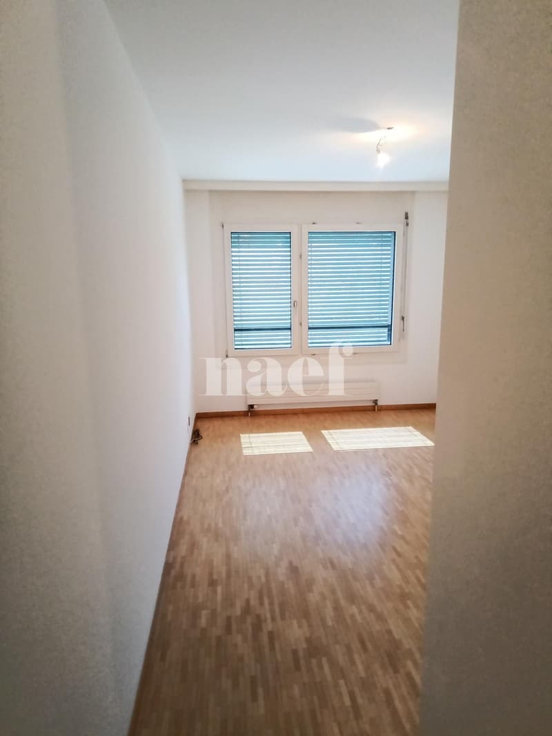 Bel appartement dans le quartier de Malagnou (6)