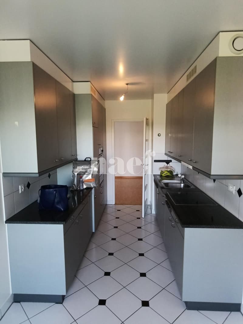 Bel appartement dans le quartier de Malagnou (3)