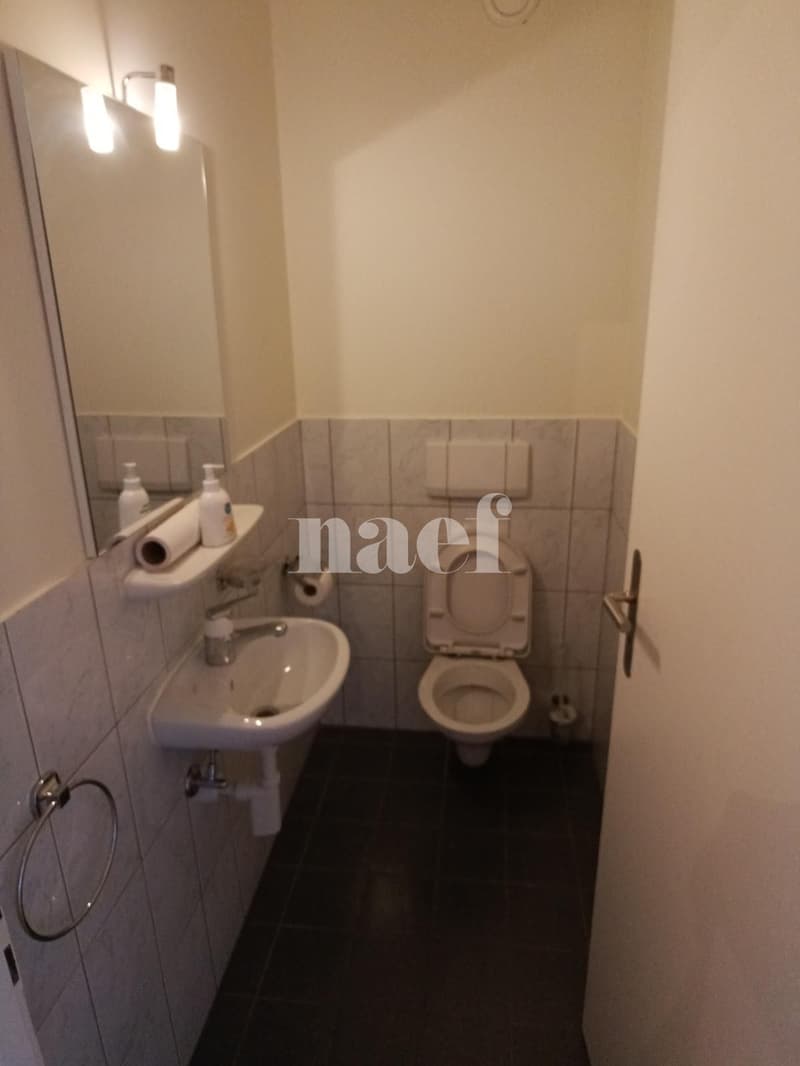 Bel appartement dans le quartier de Malagnou (9)