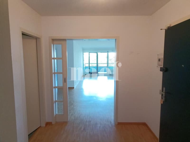 Bel appartement dans le quartier de Malagnou (2)