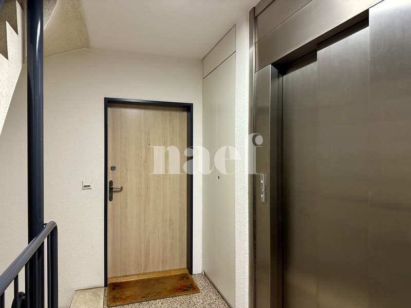 Appartement 5 pièces à Genève - Proche des organisations internationales (12)