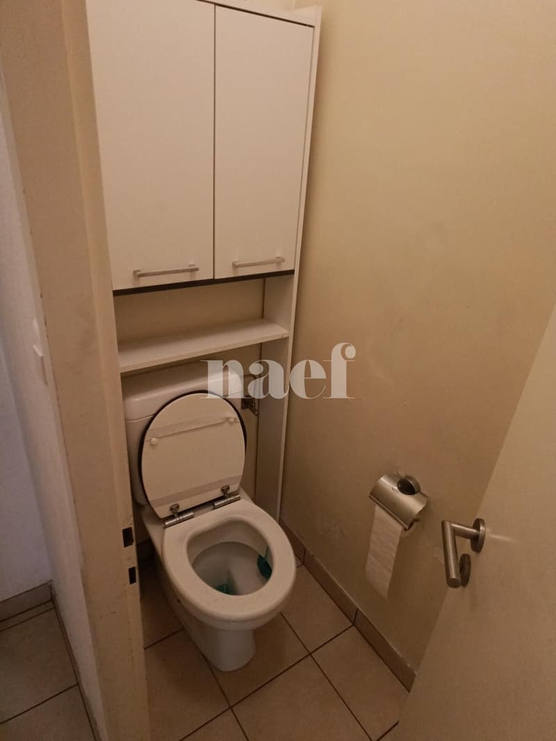 Bel appartement 6 pièces (11)