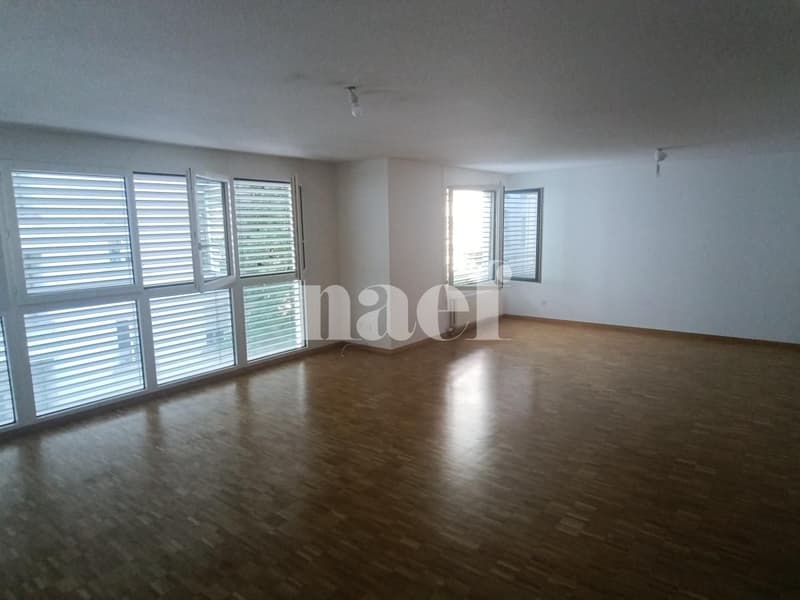 Appartement de 7 pièces à Champel (4)