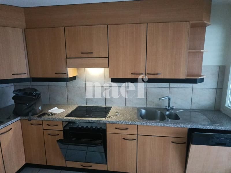 Appartement de 7 pièces à Champel (3)