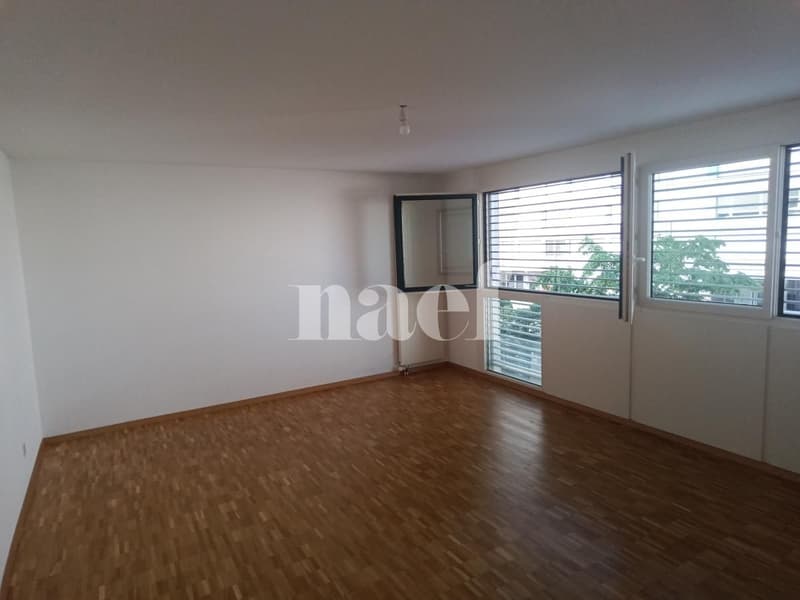 Appartement de 7 pièces à Champel (8)