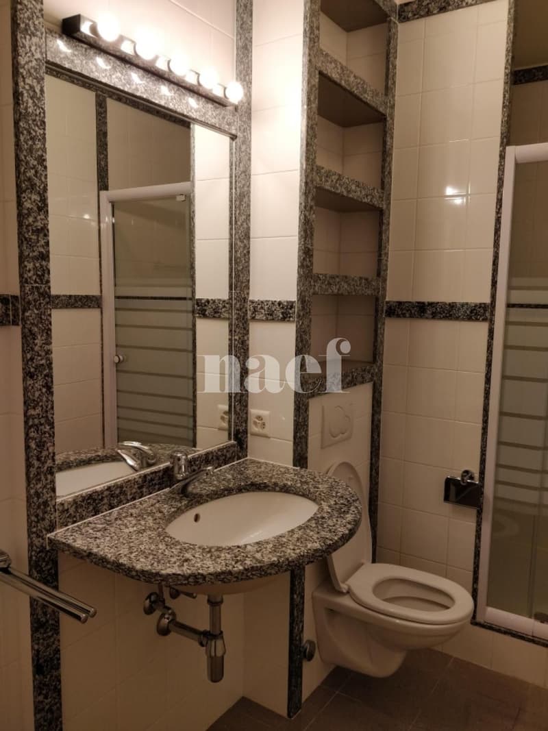 Appartement 2 pièces au rez-de-chaussée (6)