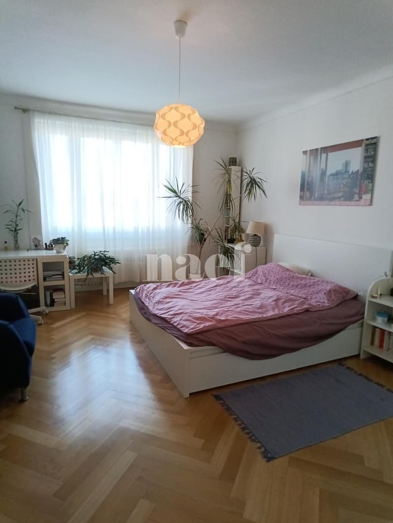 Charmant appartement de 4 pièces (5)