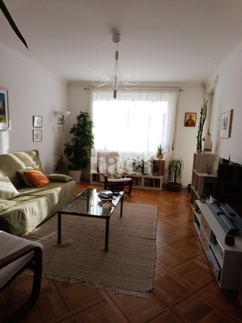 Charmant appartement de 4 pièces (2)